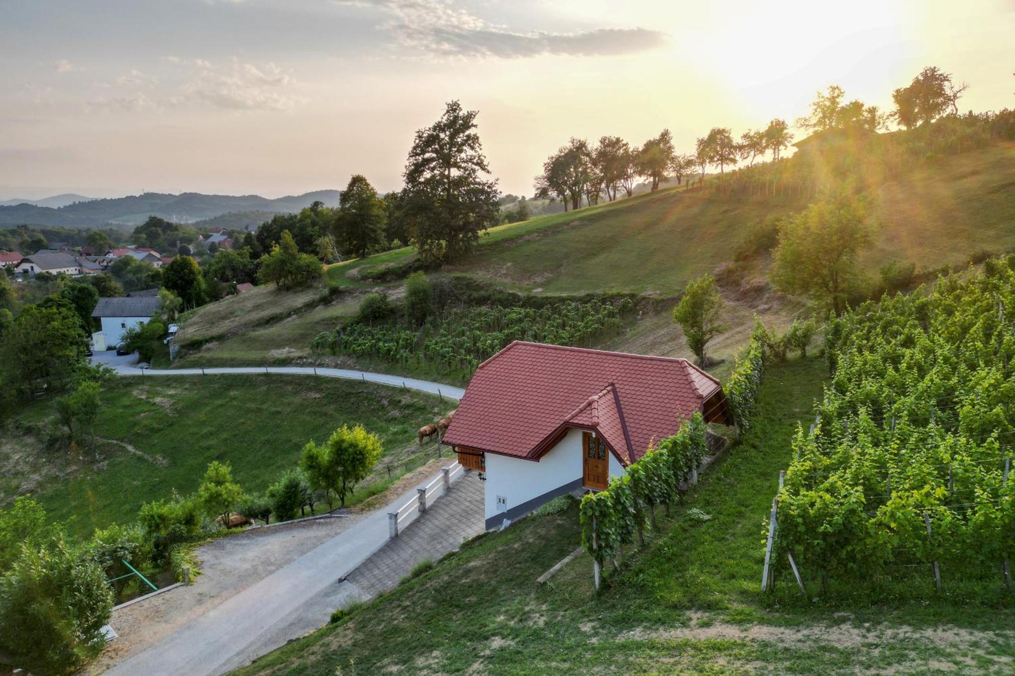 Vineyard Cottage Krivic Trebelno Exterior photo